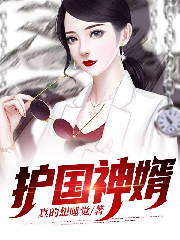 小说《护国神婿》全文免费阅读