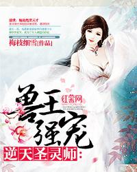 逆天圣灵师小说，逆天圣灵师免费阅读