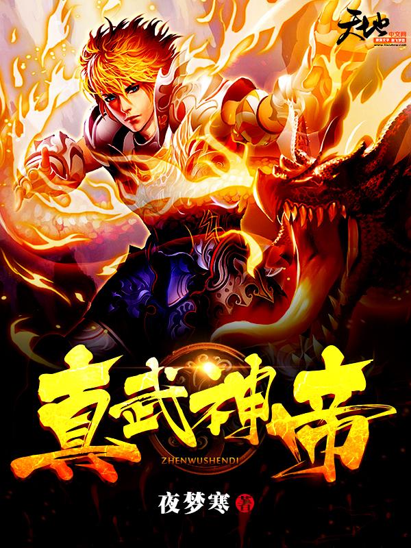 主角唐傲赵公明柳眉小说真武神帝免费阅读-优文网