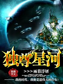 独尊星河小说，独尊星河陆峰男孩-优文网