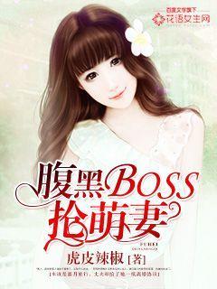 腹黑BOSS抢萌妻小说，腹黑BOSS抢萌妻晓晓王婶秦晓