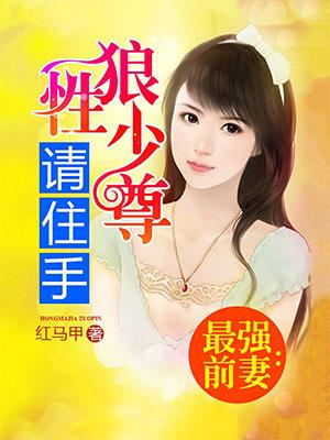 小说《佳妻如宝》全文免费阅读-优文网