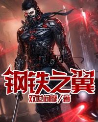 主角克里斯伊芙小说完整版在线阅读，钢铁之翼免费看-美文小说