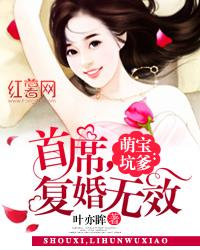 小说《萌宝坑爹：首席，复婚无效》在线全文阅读-读书翁