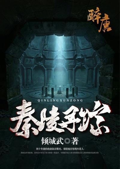 秦陵寻踪小说，秦陵寻踪全文在线阅读-经典文学
