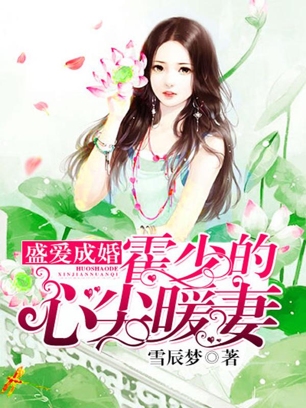 求盛爱成婚：霍少的心尖暖妻小说免费资源-书格格