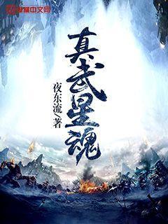 小说《真武星魂》全文免费阅读