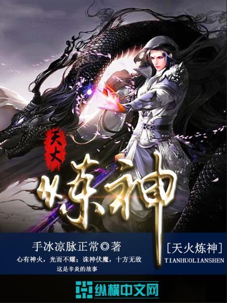 天火炼神小说，天火炼神全文在线阅读-优文网