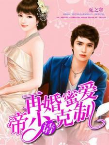 完整版《再婚蜜爱：帝少请克制》全文阅读