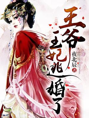 主角叫苏婉儿慕轻轻苏小小李嬷嬷小说王爷，王妃逃婚了全文免费阅读