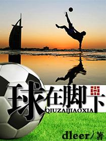 球在脚下（赵亚宁儒尼尼奥）在线免费阅读-经典文学
