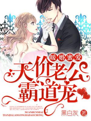 暖婚蜜爱：天价老公霸道宠小说，暖婚蜜爱：天价老公霸道宠秦半月