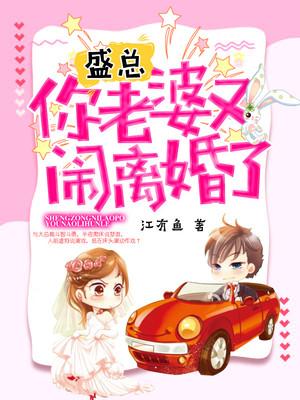 已完结小说《盛总，你老婆又闹离婚了》在线全文阅读