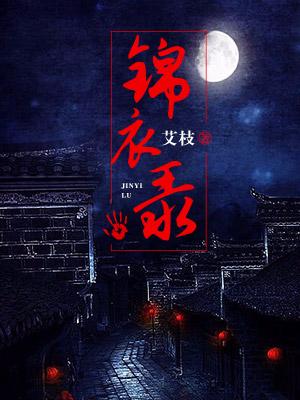 锦衣录（顺儿王氏岳东程珍）在线免费阅读-经典文学