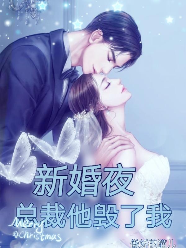 新婚夜，总裁他毁了我傲娇的猫儿，新婚夜，总裁他毁了我小说免费阅读