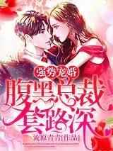 完整版《强势宠婚：腹黑总裁套路深》在线免费阅读-优文网