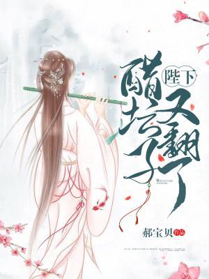 主角叫陆清音轩辕夜的小说在哪阅读
