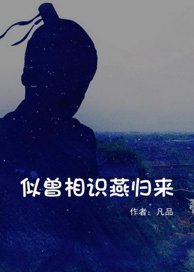 似曾相识燕归来小敏李逵，似曾相识燕归来最新章节