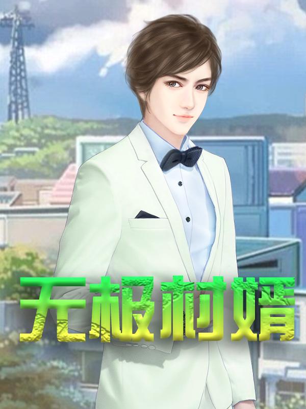 无极村婿小说，无极村婿最新章节