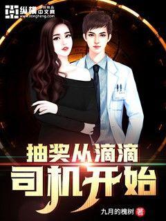 抽奖从滴滴司机开始小说，抽奖从滴滴司机开始最新章节-优文网