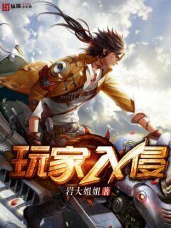 林天齐田小说叫什么（玩家入侵免费阅读）-优文网