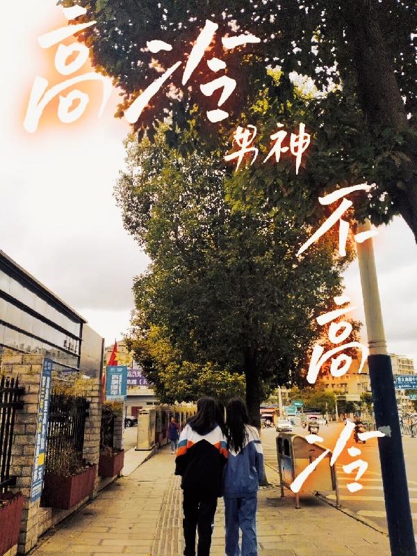 小说《高冷男神不高冷》全文免费阅读