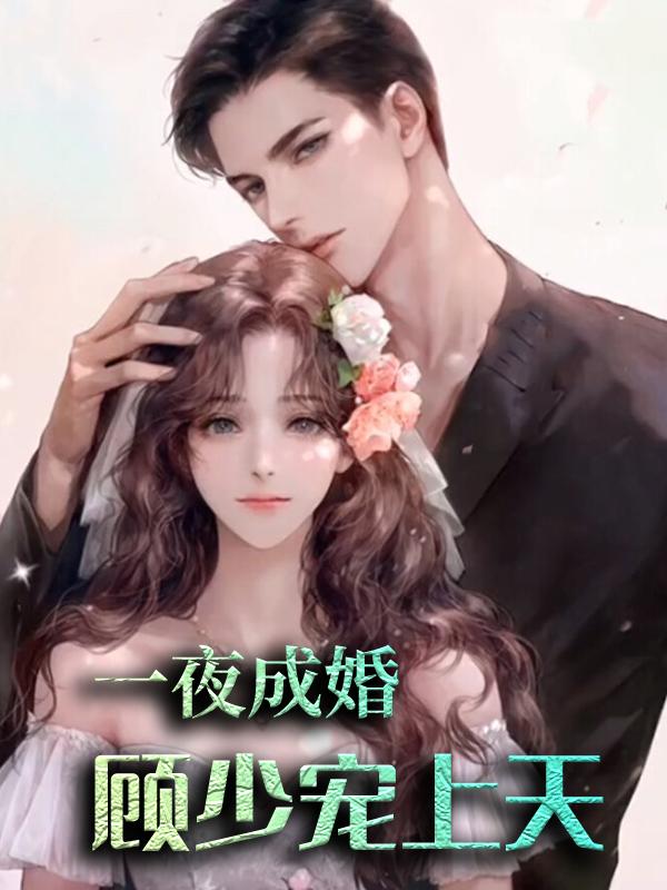 求一夜成婚：顾少宠上天小说免费资源