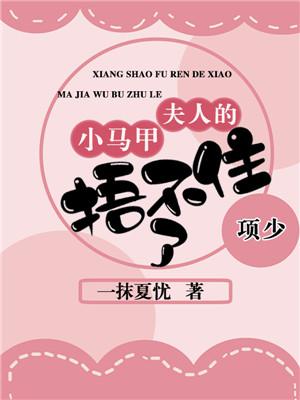 主人公泽宁北柠李主任小说项少，夫人的小马甲捂不住了在线全文阅读