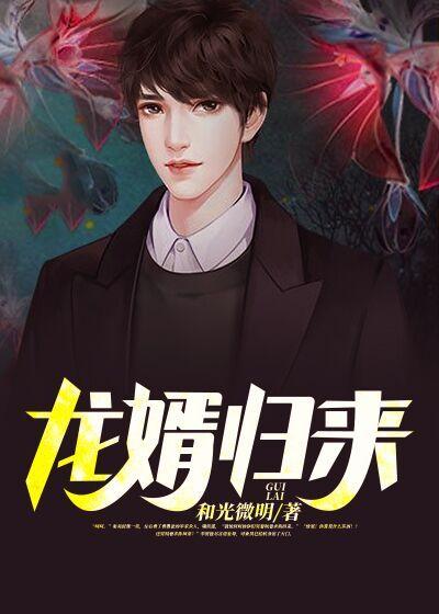 龙婿归来小说阅读，龙婿归来完整版