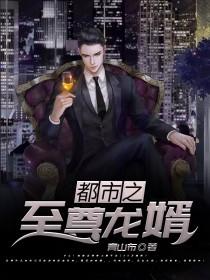 都市之至尊龙婿小说，都市之至尊龙婿在线阅读-经典文学