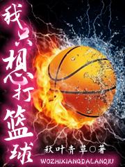 小说《我只想打篮球》在线全文阅读