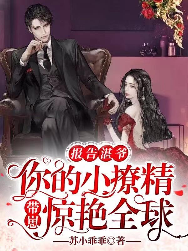 小说《报告湛爷，你的小撩精带崽惊艳全球》全文免费阅读-美文小说