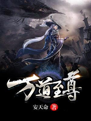 已完结小说《万道至尊》全文免费阅读-优文网