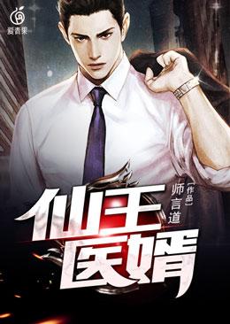 主角叫秦诗林轩段晔的小说在哪阅读