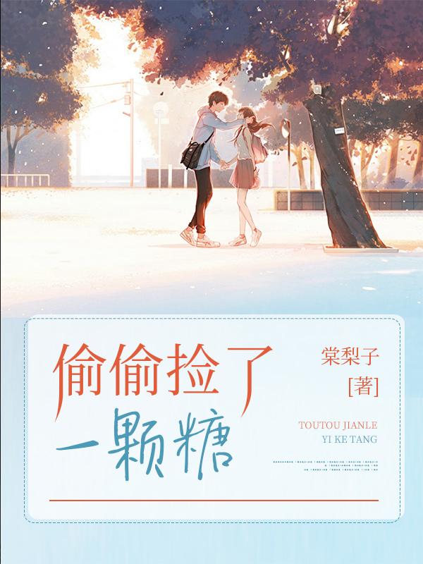 偷偷捡了一颗糖小说，偷偷捡了一颗糖免费阅读-优文网
