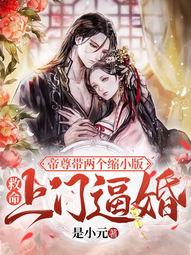 主角沐晚歌兮兮小说完整版在线阅读，救命！帝尊带两个缩小版上门逼婚免费看