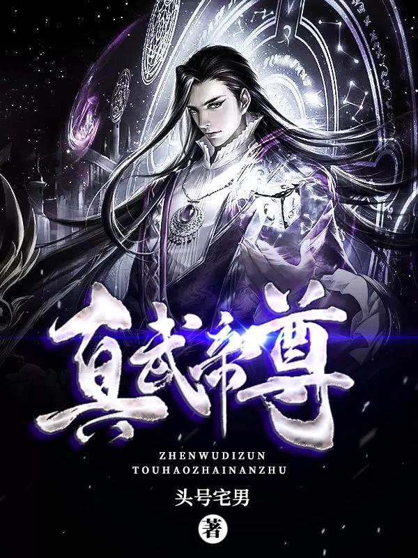 主角凌文成凌凌宇王宇小说真武帝尊免费阅读