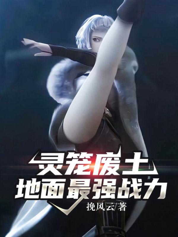 求沈云小说免费资源