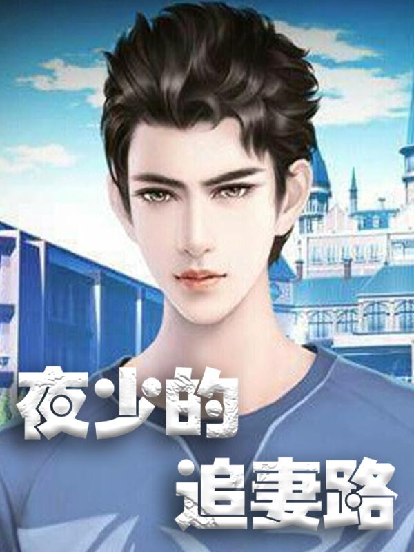 完整版《夜少的追妻路》章节目录在线阅读-瑞奇文学