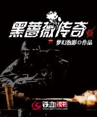 求黑蔷薇传奇小说免费资源