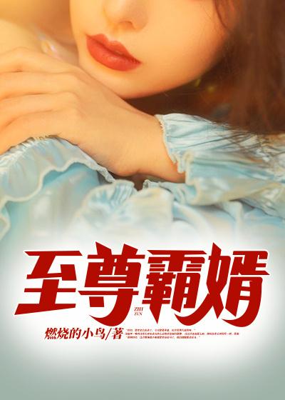 至尊霸婿主角贺君轩沈梦月小说完整版全文在线阅读
