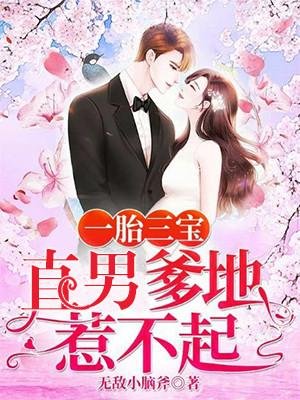 已完结小说《一胎三宝：直男爹地惹不起》全章节在线阅读-经典文学