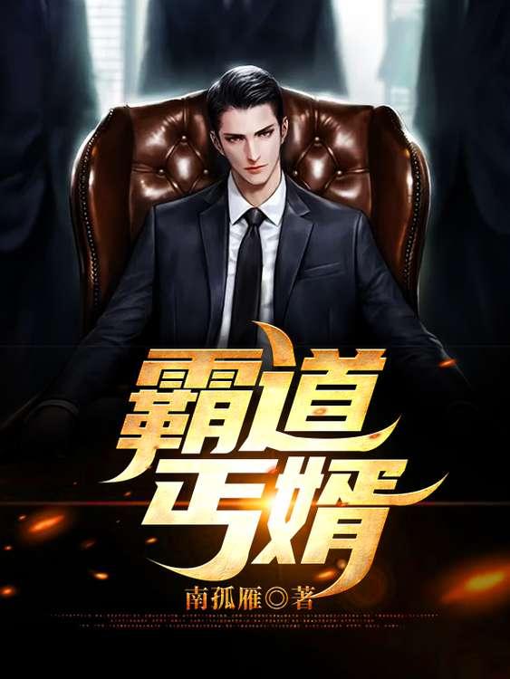 小说《霸道丐婿》在线全文阅读