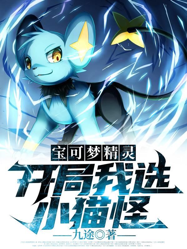 宝可梦精灵:开局我选小猫怪（陆晨）在线免费阅读-美文小说