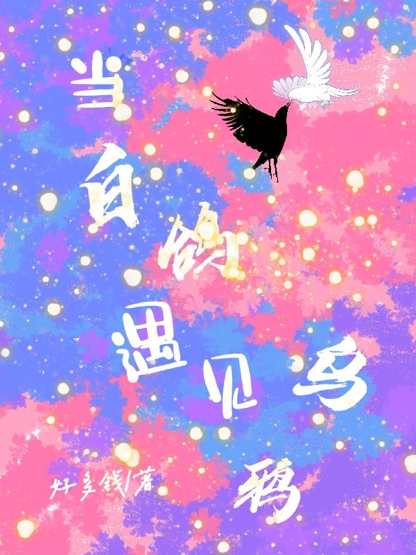 当白鸽遇见乌鸦