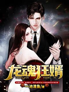 龙魂狂婿叶天策小说免费阅读