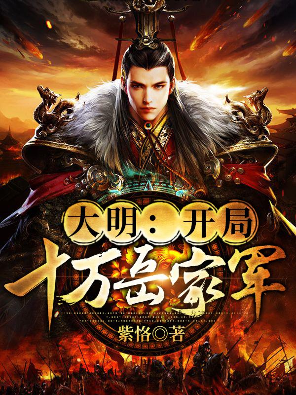 大明：开局十万岳家军朱慈烺李岩小说免费阅读
