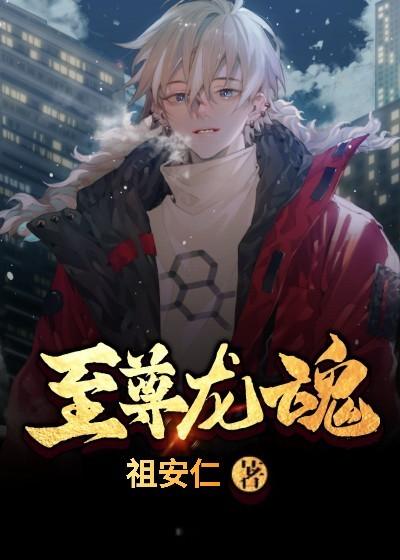 已完结小说《至尊龙魂》在线全文阅读