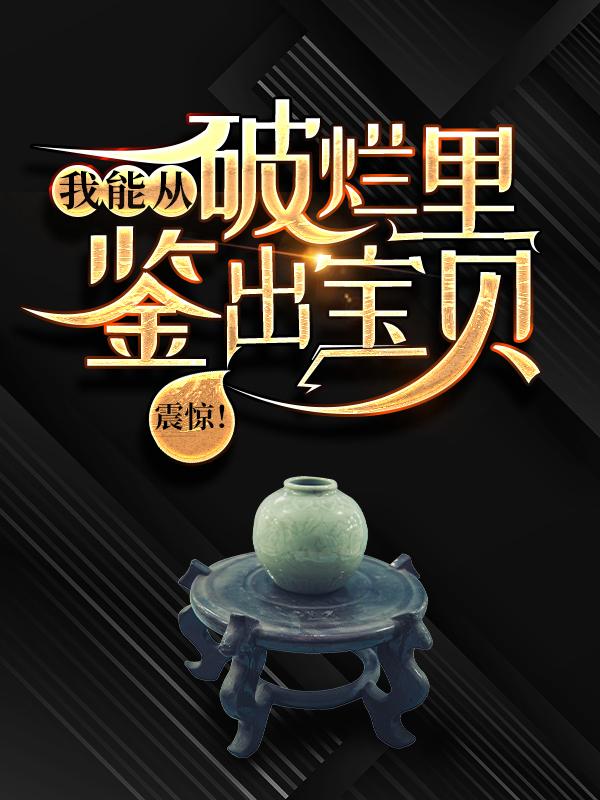 陈香陆飞小说叫什么（震惊！我能从破烂里鉴出宝贝！免费阅读）-瑞奇文学