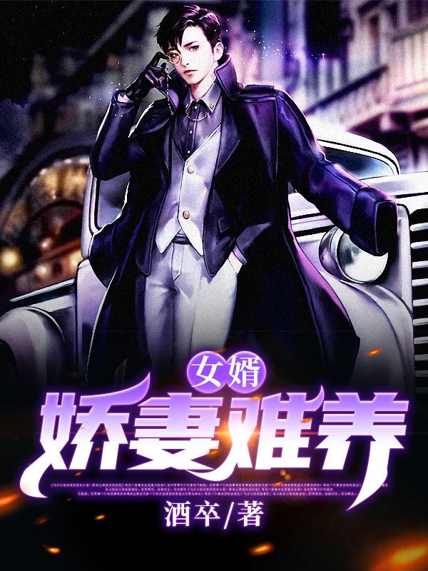 求女婿：娇妻难养小说免费资源